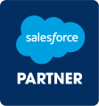 Salesforce professional services