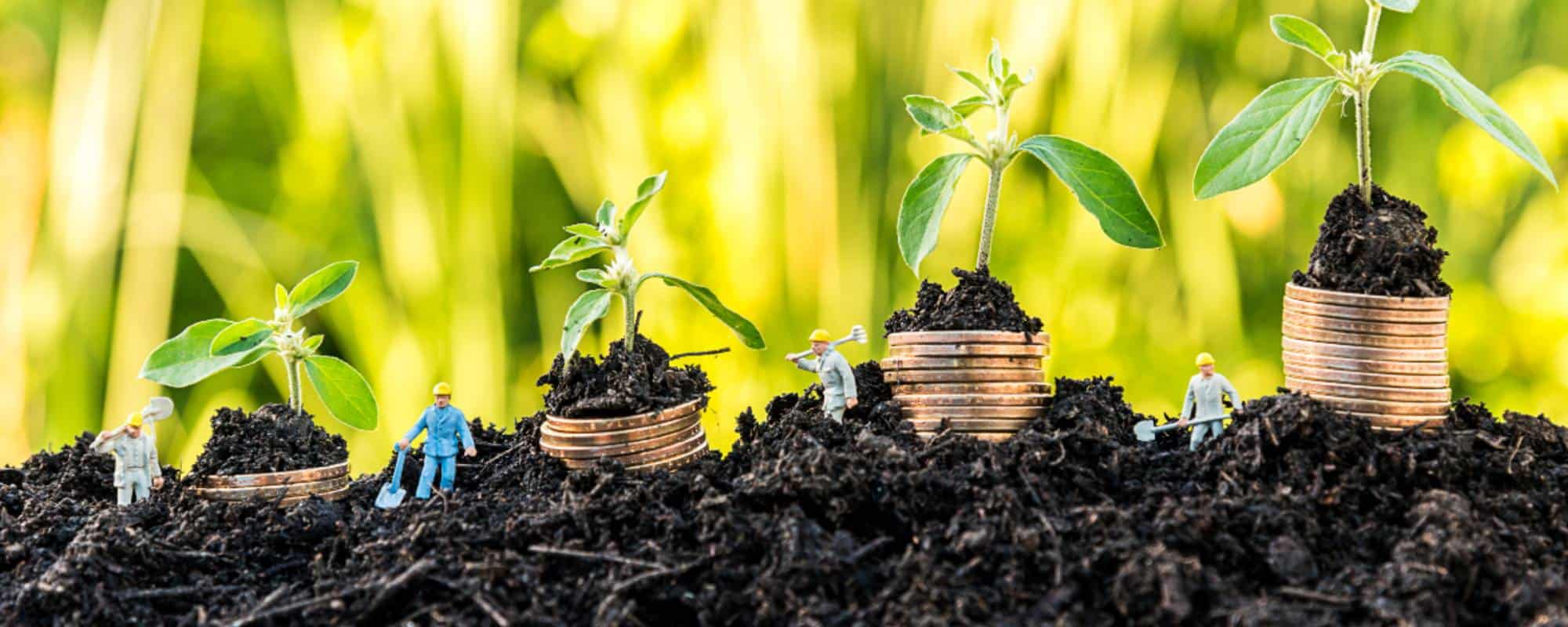 4 reasons why small businesses need ERP software