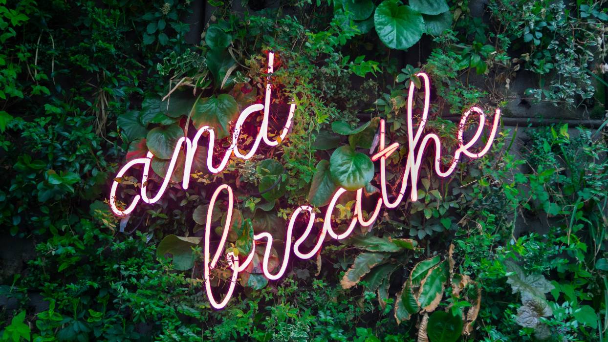 The 5 ways to wellbeing and creating lasting change in your workplace